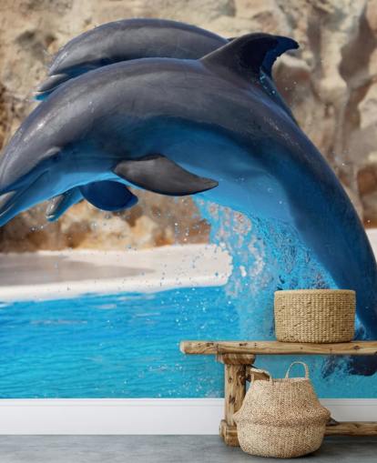 Two Dolphins in Zoo Wallpaper