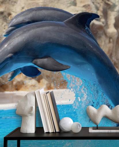 Two Dolphins in Zoo Wallpaper