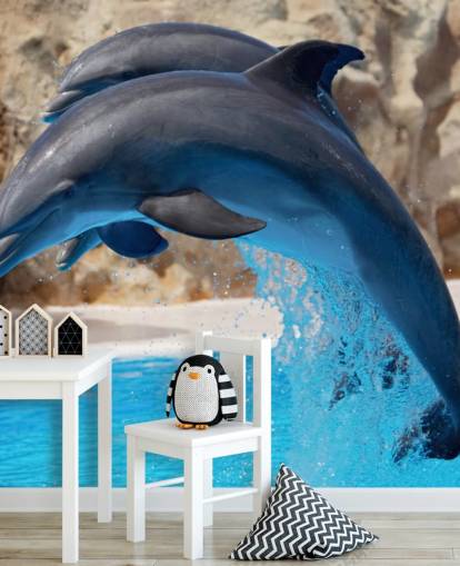 Fondo de pantalla Dos delfines en el zoológico