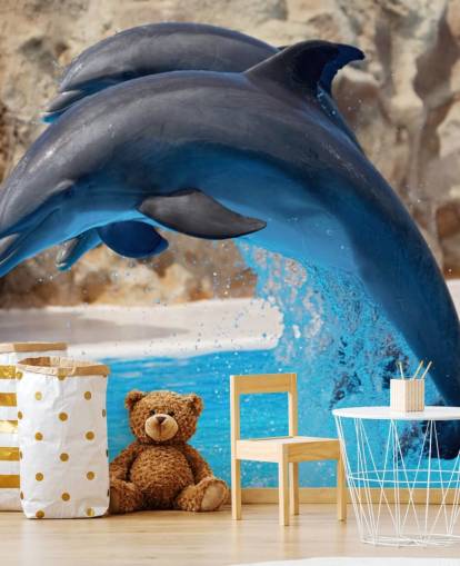 Papel de Parede Dois Golfinhos no Zoo