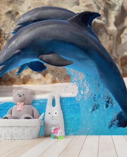 Fondo de pantalla Dos delfines en el zoológico