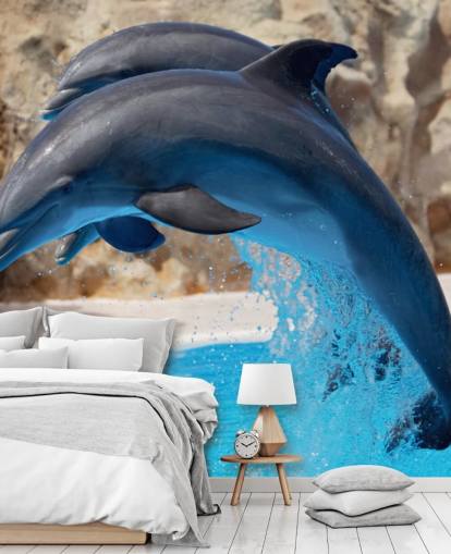 Fondo de pantalla Dos delfines en el zoológico Fondo de pantalla Dos delfines en el zoológico