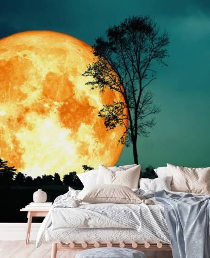 Huge Orange Room and Tree Silhouette Wallpaper