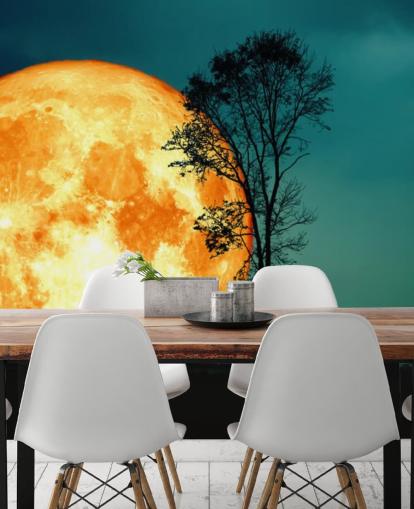 Riesiges orangefarbenes Zimmer und Baum-Silhouette