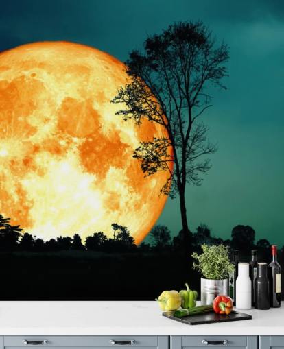 Huge Orange Room and Tree Silhouette Wallpaper