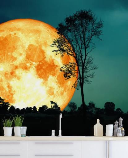 Grande sala laranja e papel de parede de silhueta de árvore