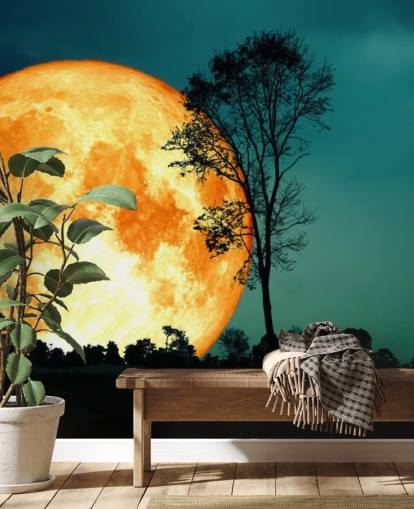 Huge Orange Room and Tree Silhouette Wallpaper Huge Orange Room and Tree Silhouette Wallpaper