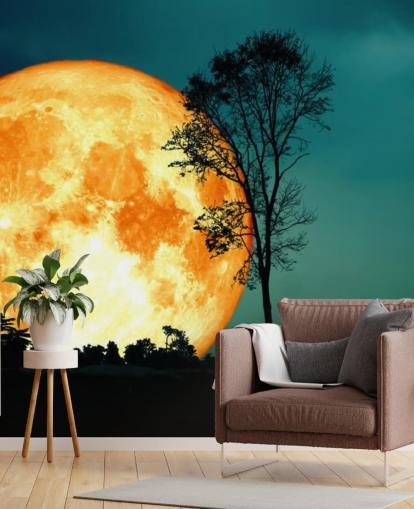 Enorme oranje kamer en boom silhouet behang