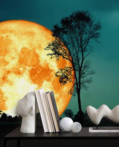 Valtava oranssi huone ja puu siluetti taustakuva