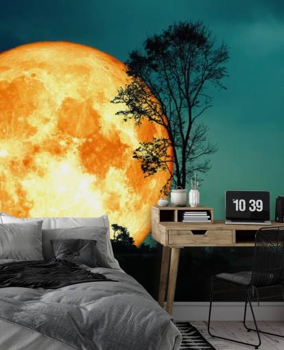 Riesiges orangefarbenes Zimmer und Baum-Silhouette Riesiges orangefarbenes Zimmer und Baum-Silhouette