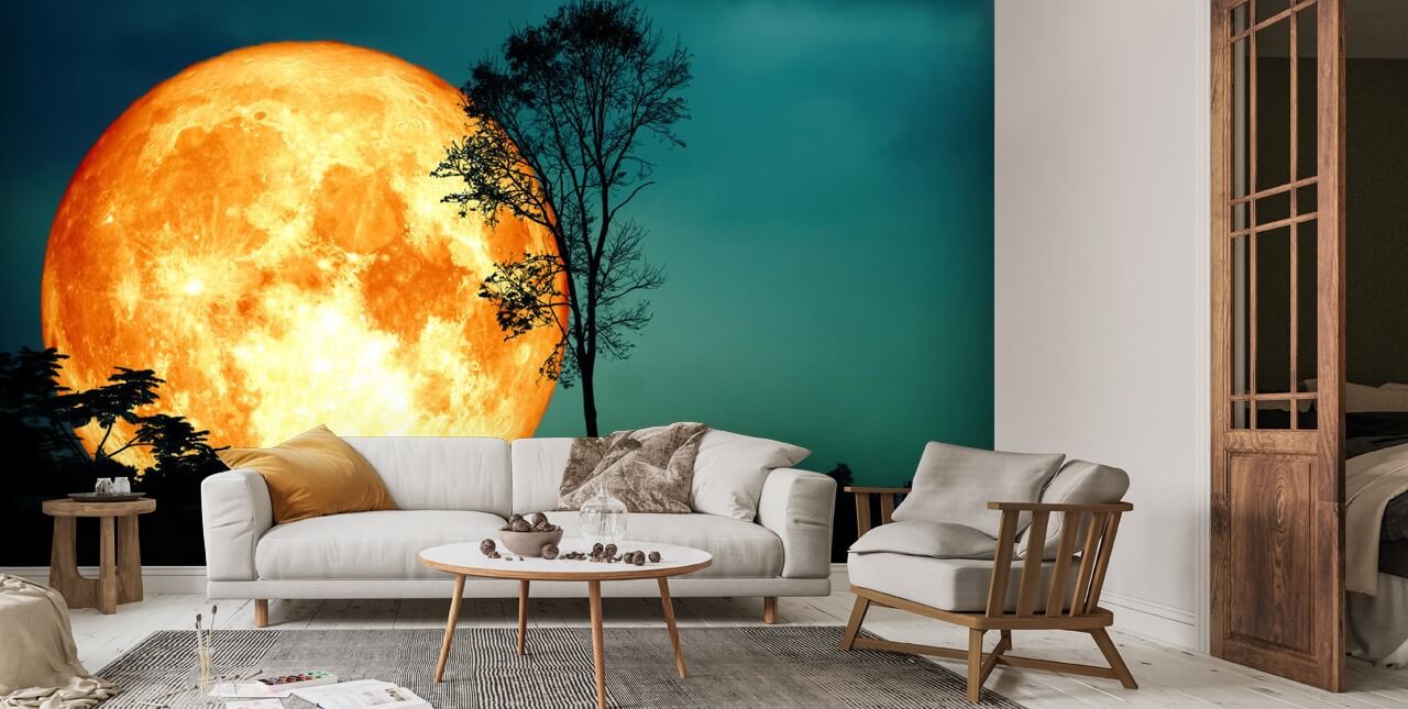 Orange Moon and Teal Skies Wall Mural Wallsauce US
