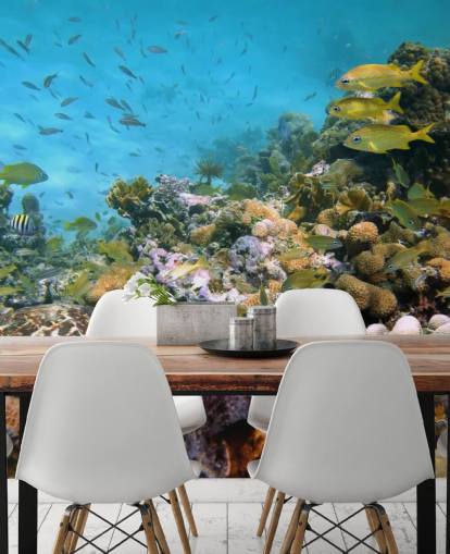 Fondo de pantalla Coral y vida marina