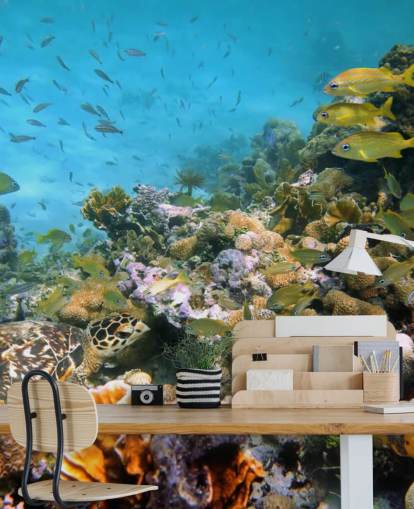 Coral og Sea Life Baggrund