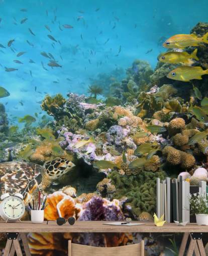 Coral and Sea Life Wallpaper Coral and Sea Life Wallpaper
