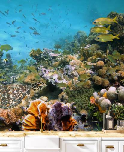 Papel de Parede Coral e Vida Marinha