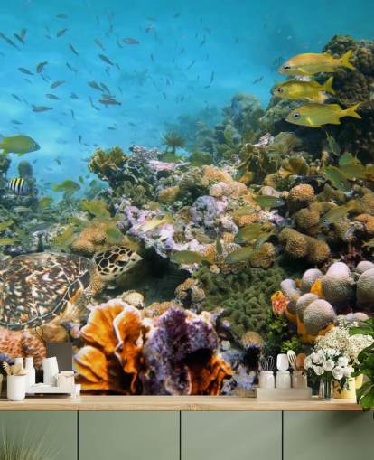 Coral ja Sea Life Taustakuva