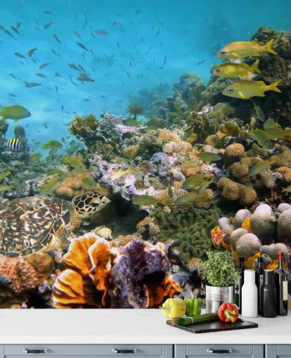 Korall och Sea Life Bakgrund