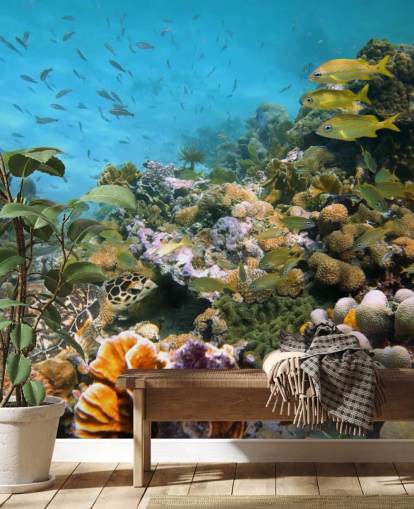 Coral and Sea Life Wallpaper