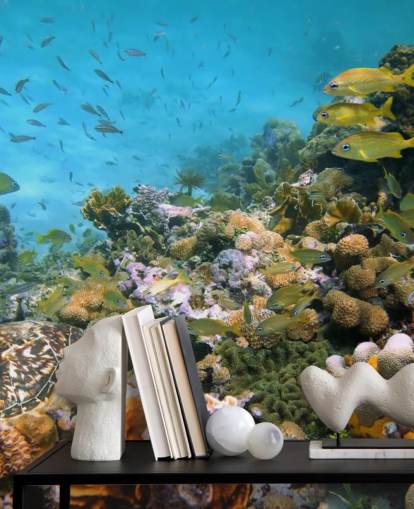 Coral and Sea Life Wallpaper Coral and Sea Life Wallpaper