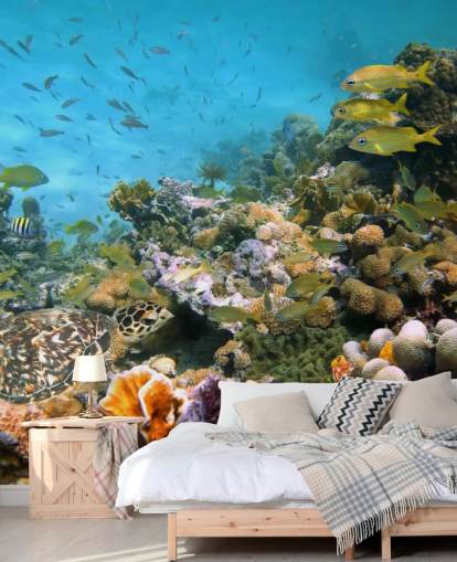 Korall och Sea Life Bakgrund