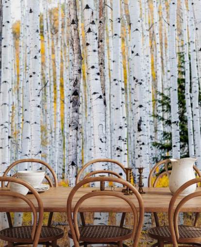 Black and White Birch Trees and Mustard Foliage Wallpaper Black and White Birch Trees and Mustard Foliage Wallpaper