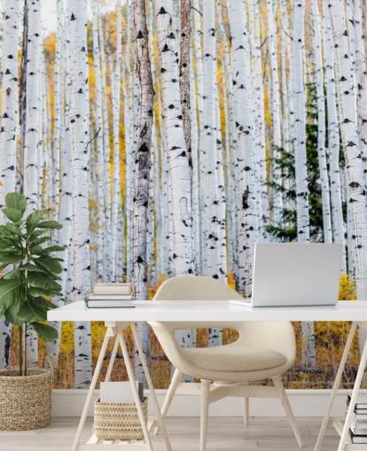 Black and White Birch Trees and Mustard Foliage Wallpaper