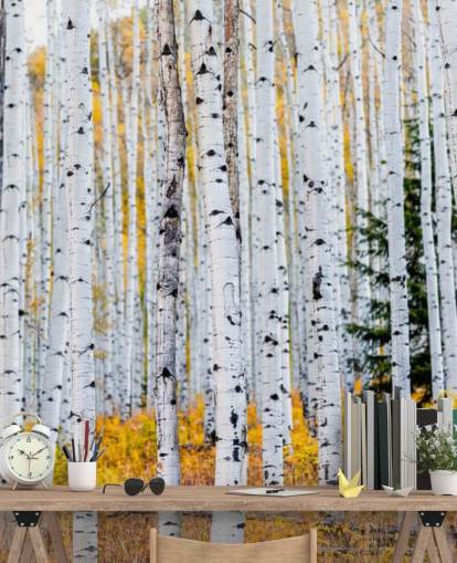 Zwart-witte berkenbomen en mosterdgebladerte behang