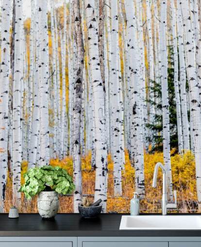 Zwart-witte berkenbomen en mosterdgebladerte behang