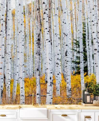 Black and White Birch Trees and Mustard Foliage Wallpaper
