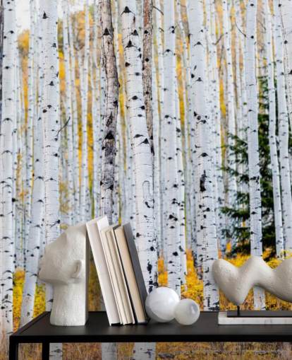 Zwart-witte berkenbomen en mosterdgebladerte behang