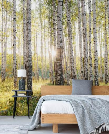 Birch Tree Forest Wallpaper