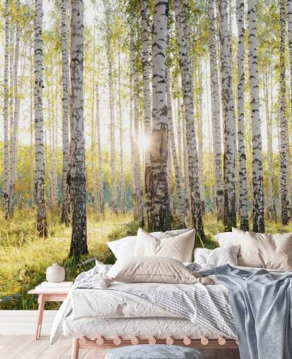 Birch Tree Forest Wallpaper Birch Tree Forest Wallpaper