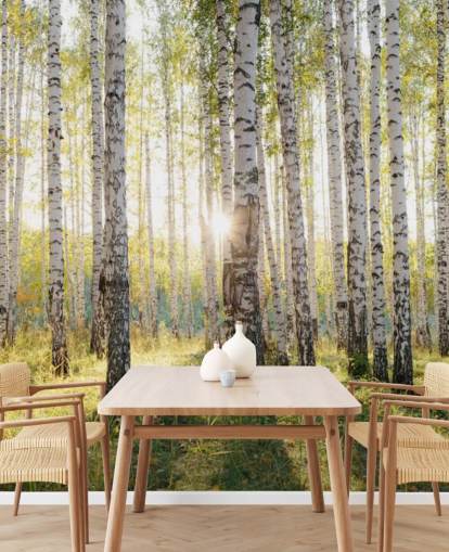 Carta da parati con foresta di betulle