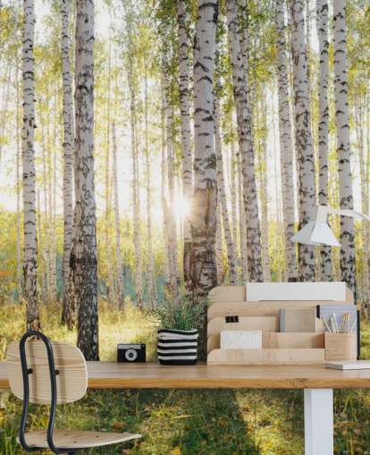 Birch Tree Forest Wallpaper Birch Tree Forest Wallpaper