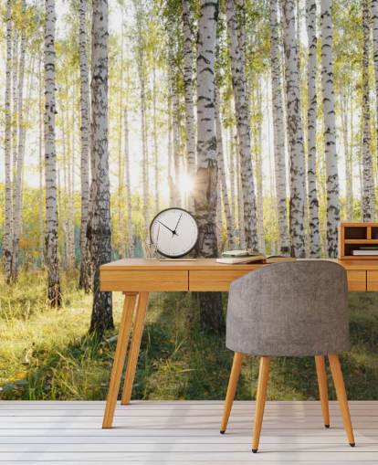 Birch Tree Forest Wallpaper