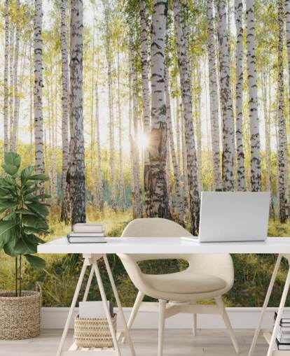 Birch Tree Forest Wallpaper Birch Tree Forest Wallpaper