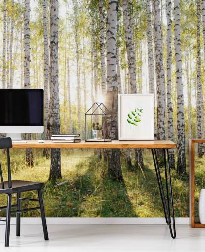 Carta da parati con foresta di betulle