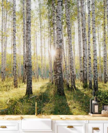 Fondo de pantalla de bosque de abedules