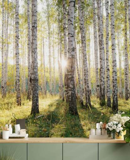 Carta da parati con foresta di betulle