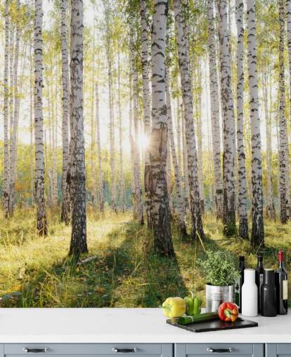 Carta da parati con foresta di betulle