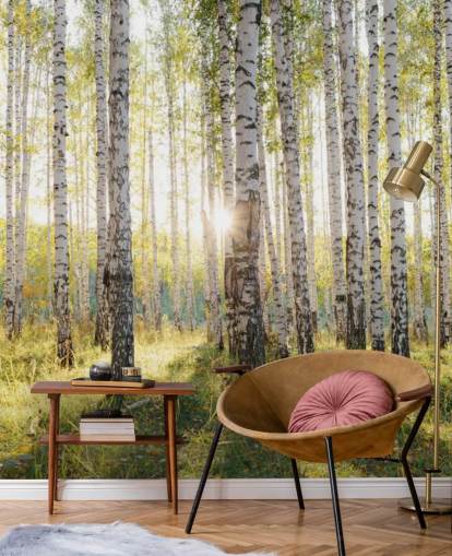 Birch Tree Forest Wallpaper