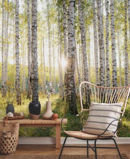 Birch Tree Forest behang