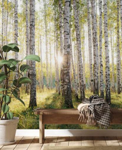 Carta da parati con foresta di betulle