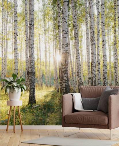 Birch Tree Forest behang Birch Tree Forest behang
