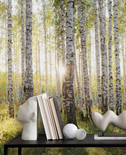 Papel de parede Birch Tree Forest Papel de parede Birch Tree Forest