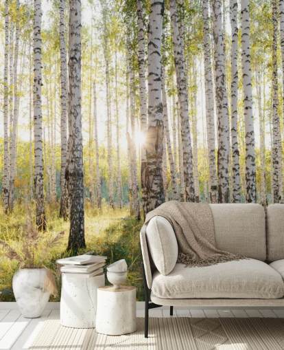 Fondo de pantalla de bosque de abedules