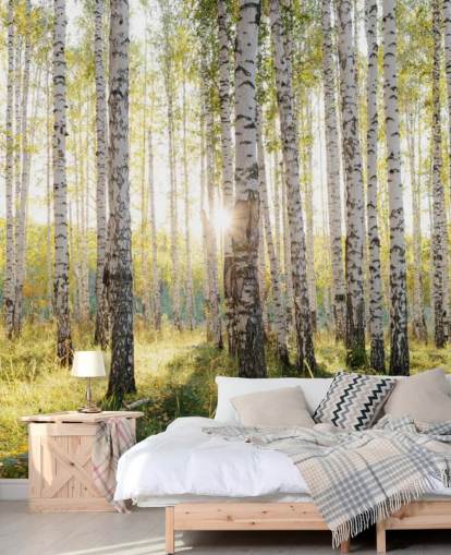 Birch Tree Forest behang Birch Tree Forest behang