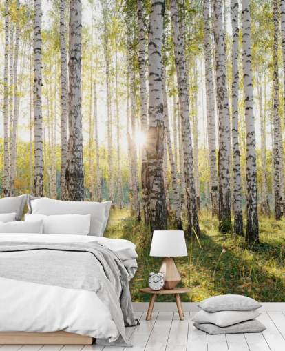 Birch Tree Forest Wallpaper