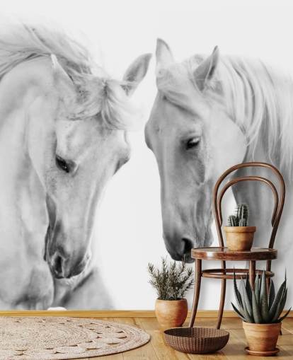 zwart-wit portret van twee paarden behang