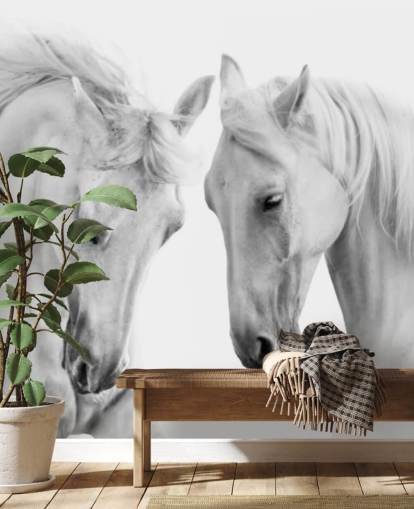 black and white portrait of two horses wallpaper black and white portrait of two horses wallpaper